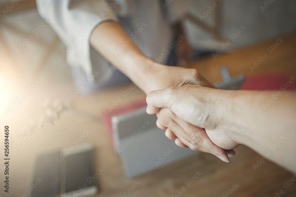 Business man and woman are shaking hands in office.