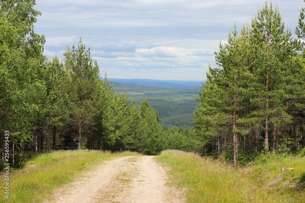 A winding gravel road with a view, Sweden in Summer.