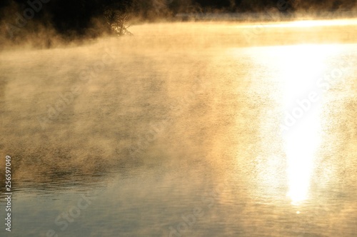 厳冬期の湖 光と輝き