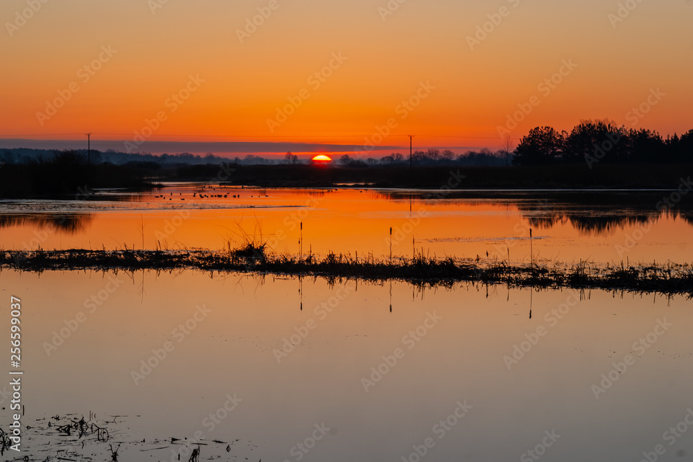 Fototapeta premium Dolina Górnej Narwi. Wiosna na Podlasiu. Piękny słoneczny dzień