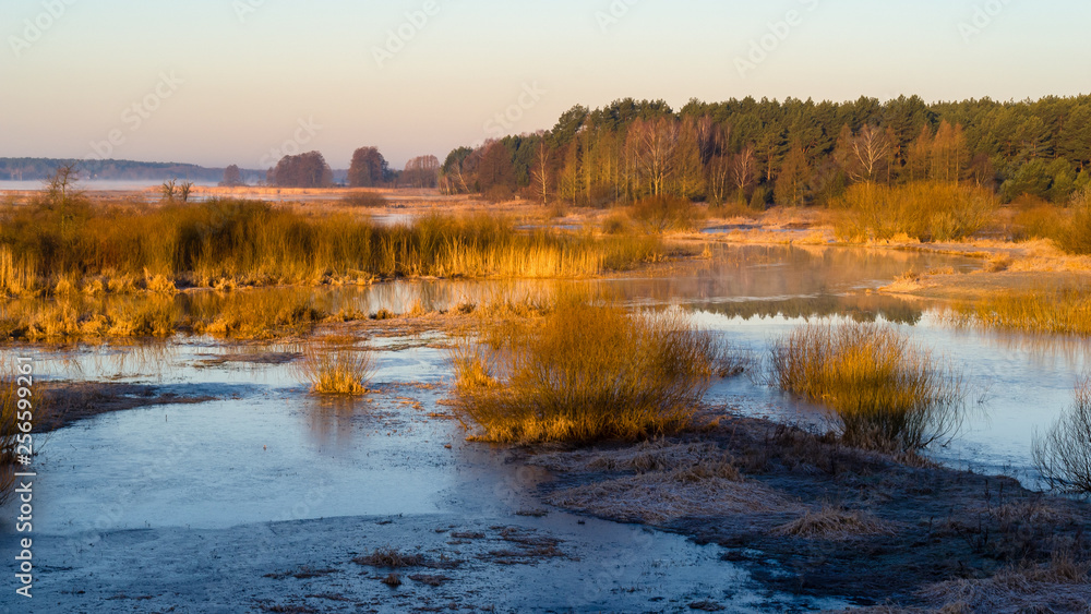 Fototapeta premium Dolina Górnej Narwi. Wiosna na Podlasiu. Piękny słoneczny dzień