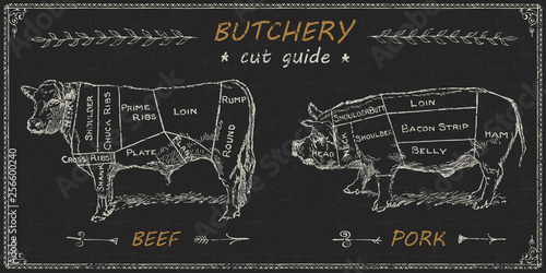 Butchers meat cuts chart engraved diagram