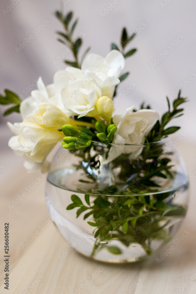 white freesia flowers in a round vase