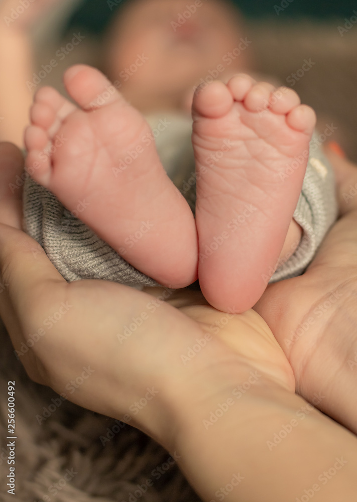 Baby feet in mother hands. Tiny Newborn Baby's feet on female Shaped hands closeup. Mom and her Child. Happy Family concept. Beautiful conceptual image of Maternity Baby feet in mother hands. Tiny Newborn Baby's feet on female Shaped hands closeup. Mom and her Child. Happy Family concept. Beautiful conceptual image of Maternity