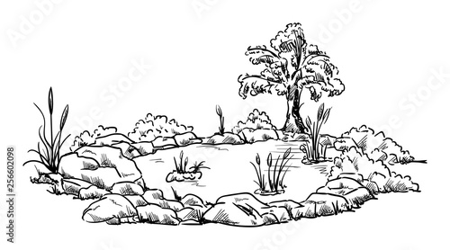 small garden pond