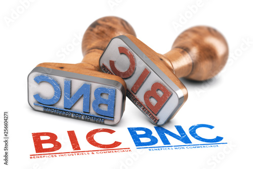 Choix du régimes fiscal d'une entreprise. BNC Bénéfices Non Commerciaux ou BIC Bénéfices Industriels et Commerciaux. photo