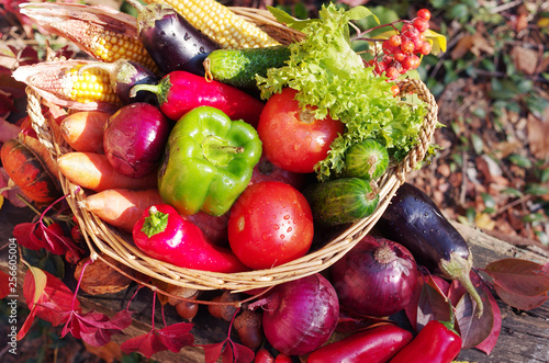 Appetizing vegetables surrounded by autumn leaves