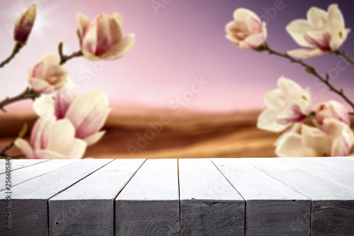 Desk of free space for your decoration and magnolia flowers of spring time 