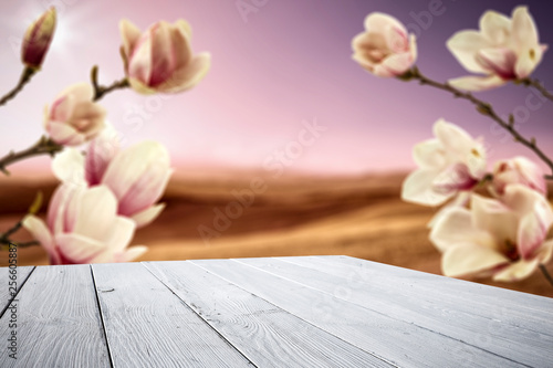 Desk of free space for your decoration and magnolia flowers of spring time 