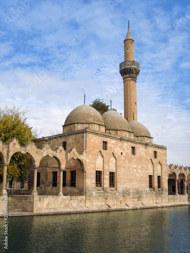 Halil-ur-Rahman Mosque and Pool of Sacred Fish in Sanliurfa, Turkey. Mosque was built by the Ayyubids in 1211 and now surrounded by the attractive gardens photo