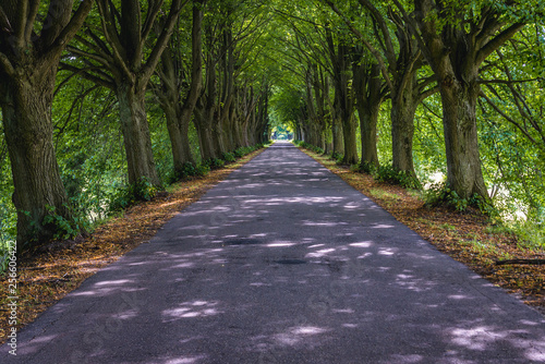 Beautiful road near Karpowo village in Ilawa lakeland region of Poland