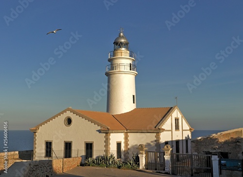 Lighthouse far de capdepera, daytime, sunny blue sky with seagull, cala ratjada, mallorca, spain.