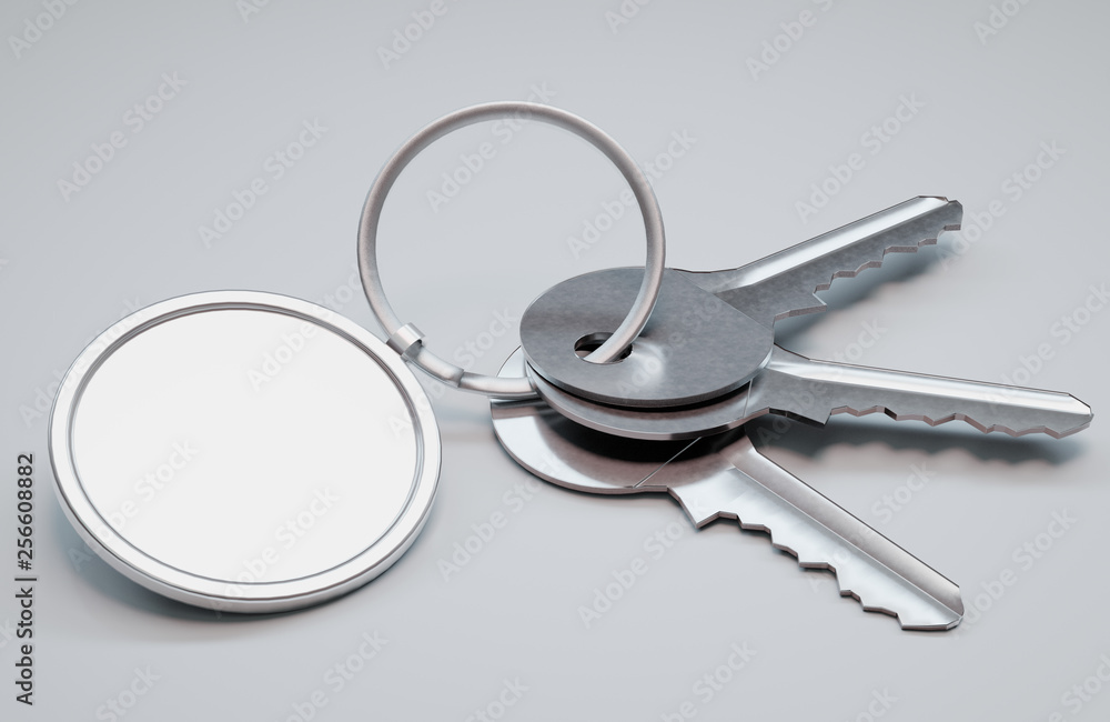 keys on keyring isolated on white background keys on keyring isolated on white background