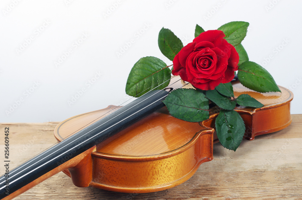 Fototapeta premium Violin and red rose. Copy space