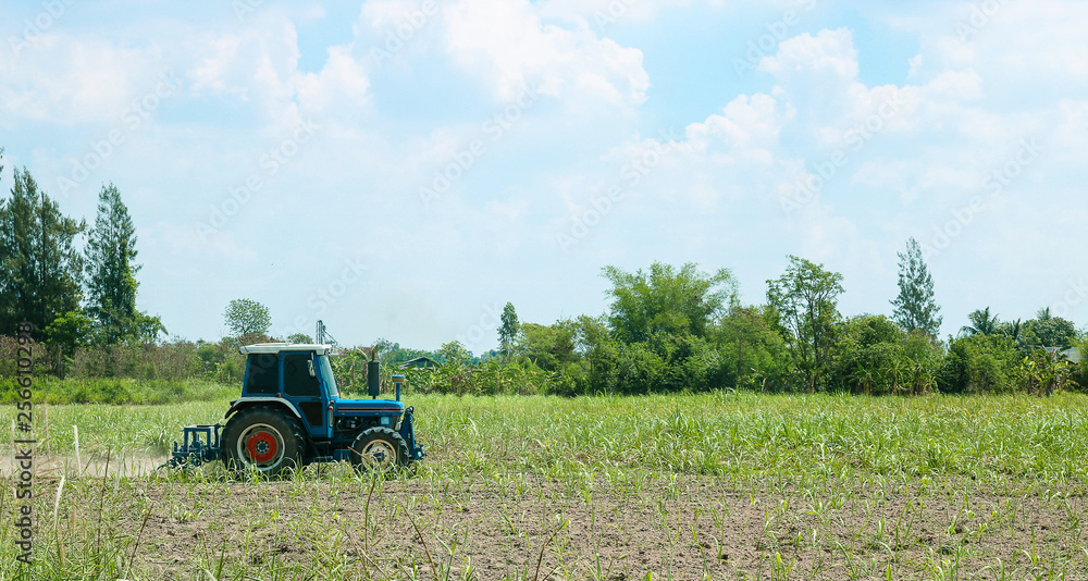 Tractor ploughing a sugarcane field of dust behind Tractor ploughing a sugarcane field of dust behind