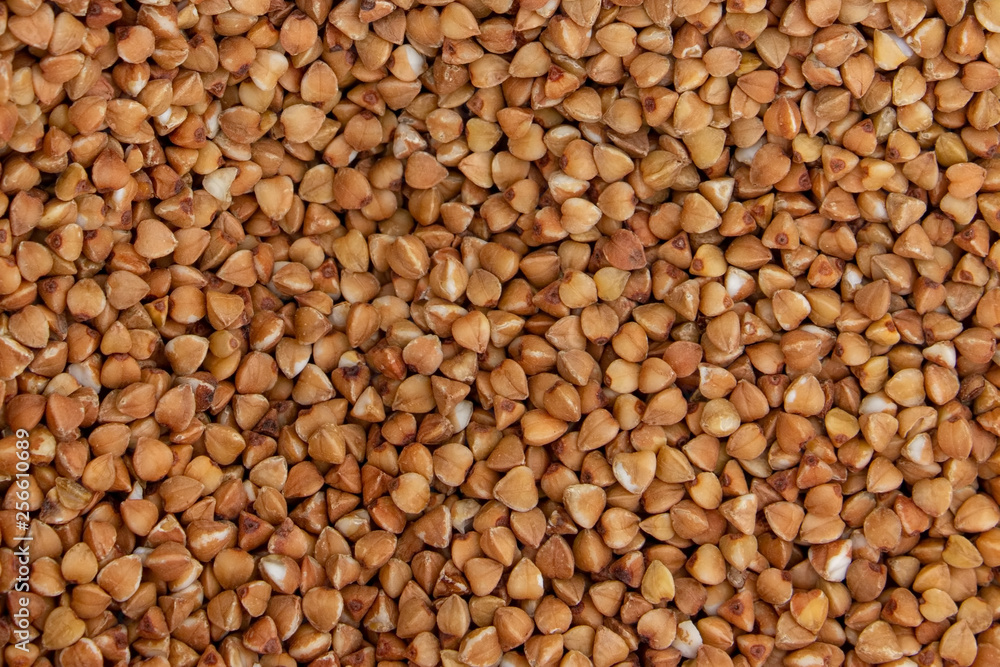 Buckwheat texture Buckwheat texture