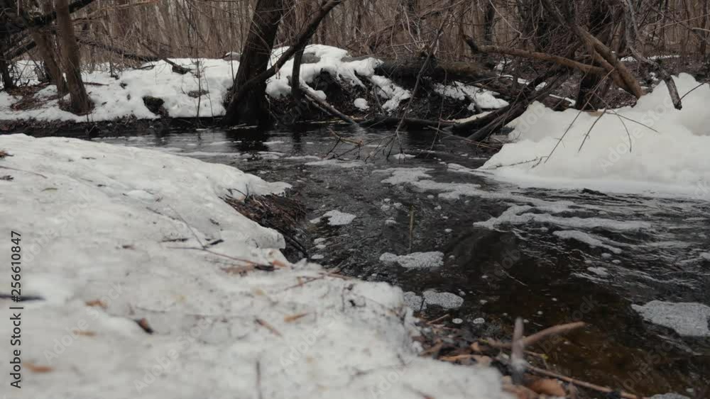 Spring flood in a snowy forest. Movement of water through the forest Spring flood in a snowy forest. Movement of water through the forest