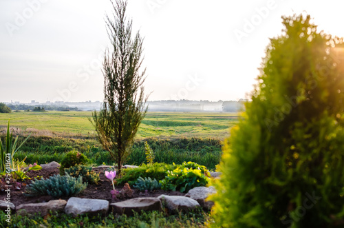 path in the garden