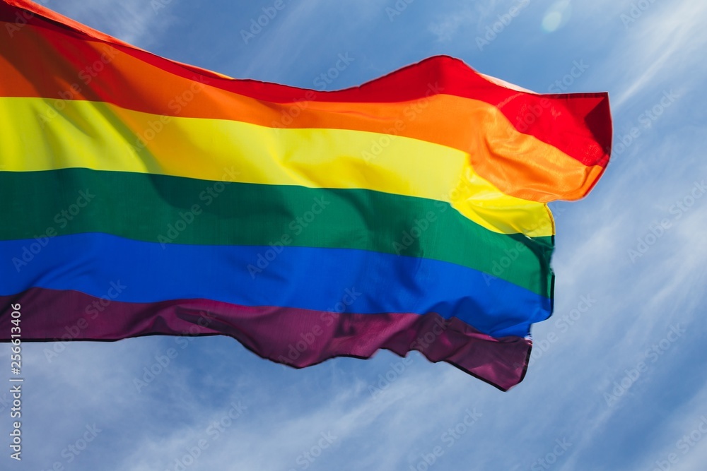 Obraz premium LGBT flag