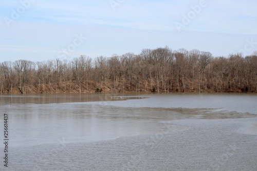 A view of the lake and the forest landscape in background.