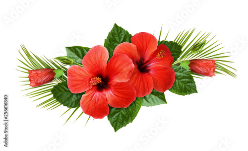 Red hibiscus flowers and pa...