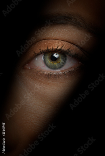 person spying  eye close-up photo