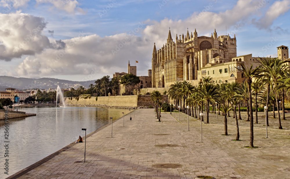 Palma cathedral, lake and fountain, beautiful blue sky with clouds, palm trees, mallorca, spain.