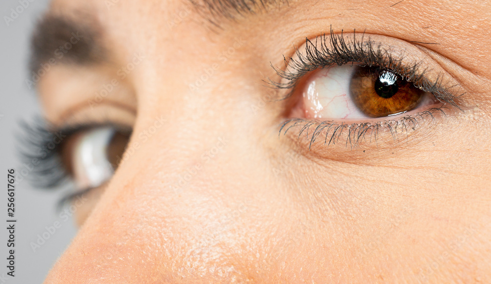 Obraz premium beautiful eyes macro close-up shot 