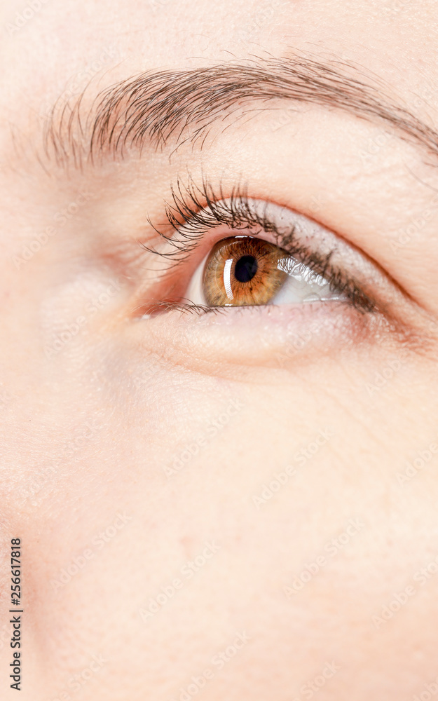 Obraz premium beautiful eyes macro close-up shot 