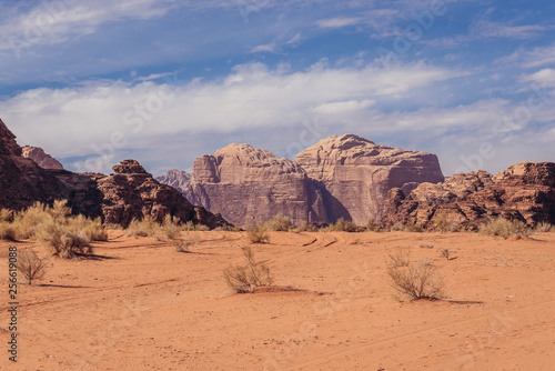 Desert landscape in Wadi Rum - famous valley in Jordan