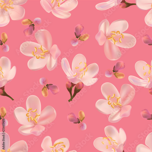 Flower seamless pattern with centaurium erythraea-vector illustration