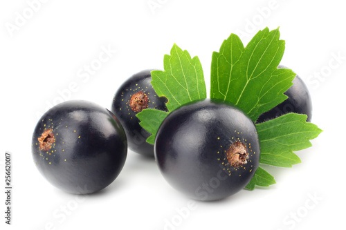 black currant with green leaf isolated on white background. macro