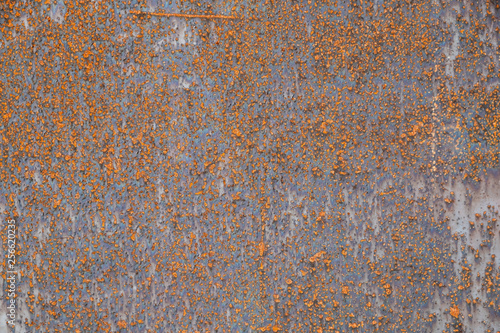 Rusty iron metal texture background