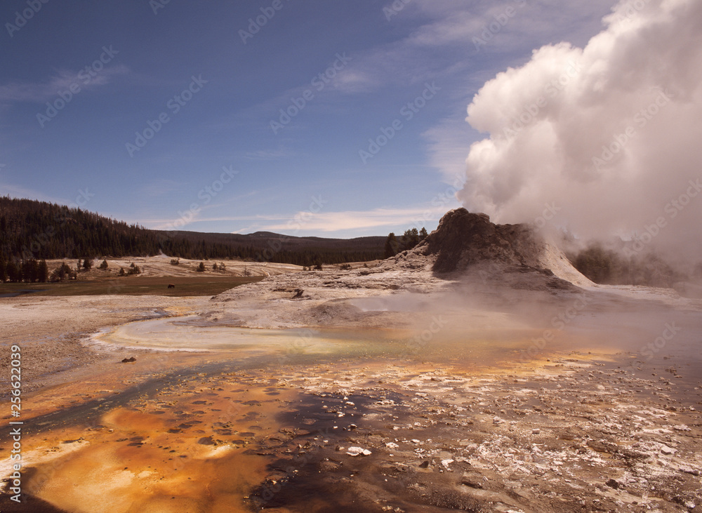 Castle Geyser , Yellowstone National park, Wyoming Castle Geyser , Yellowstone National park, Wyoming