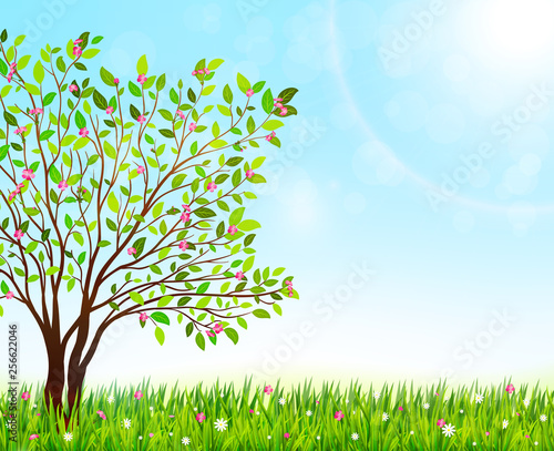 Spring nature background with green grass and blooming tree. Vector illustration