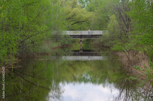 bridge in the city Park