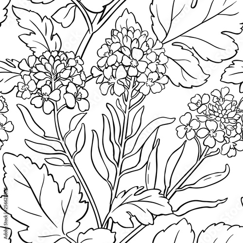 mustard vector pattern