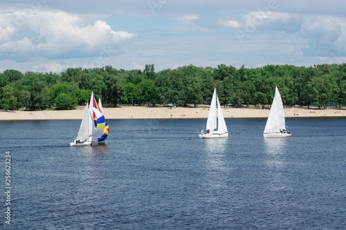 Regatta competition on lake river sailing yachts boats with white sails and gennaker