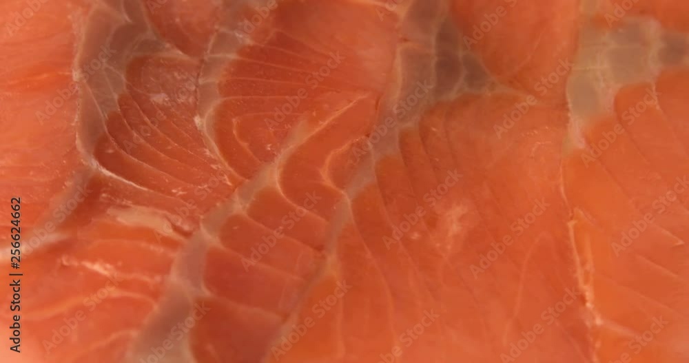 Slice of fresh salmon in extreme macro close up Slice of fresh salmon in extreme macro close up
