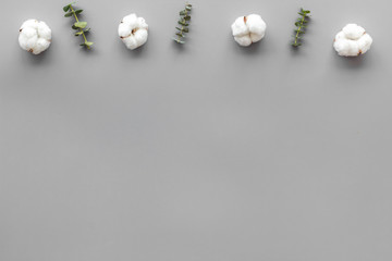 Flowers border with green eucalyptus branches and cotton flowers on grey background top view copy space.