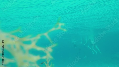 Wallpaper Mural People swimming on the surface, view from underwater Torontodigital.ca