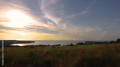 Lake Victoria seen from hill in Kalangala, Uganda in the evening sunlight. Island visible by the horizon. Open water, dense forest, and blue sky with scattered clouds. Tall grass sways in foreground. photo