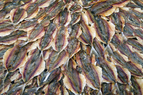 Fish are dried in the sun for cooking.