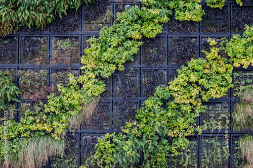 Outside vertical wall garden in winter. Wroclaw, Poland.