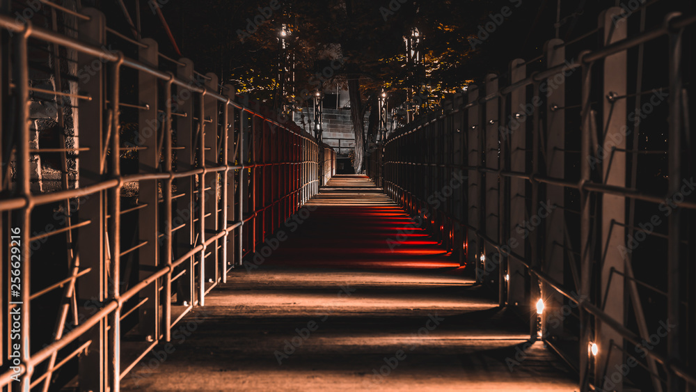 Fototapeta premium Bridge at night