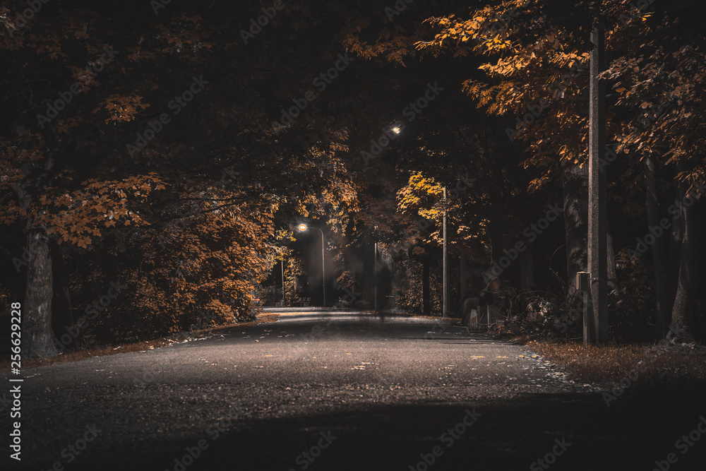 Street at night