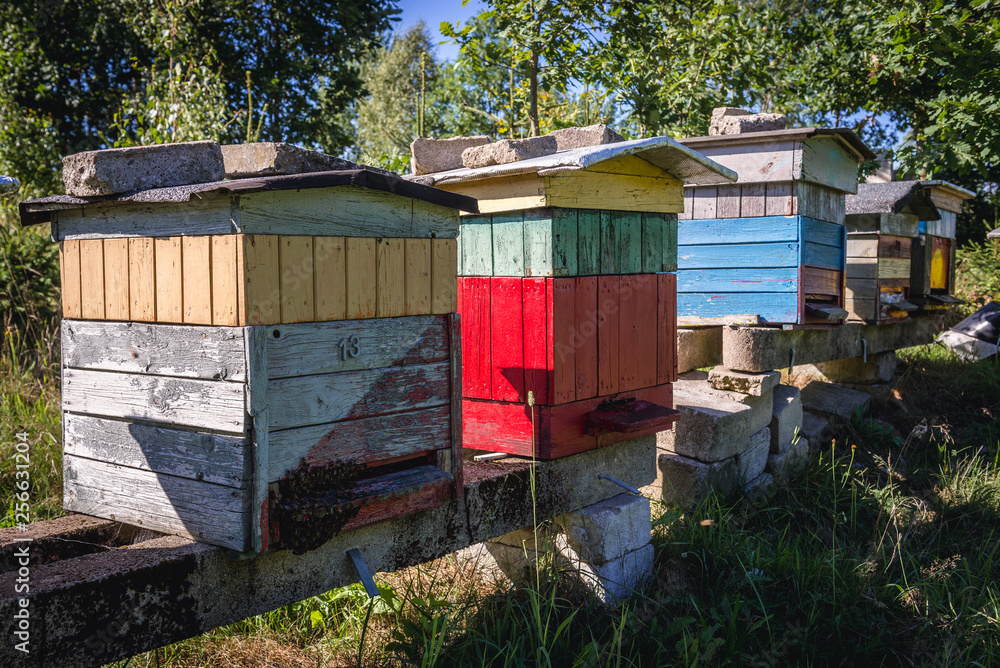 Bee garden in Kashubia region, Pomeranian Voivodeship in Poland
