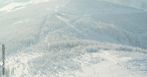 Wallpaper Mural Aerial drone view snowy mountains over white trees in winter  Torontodigital.ca