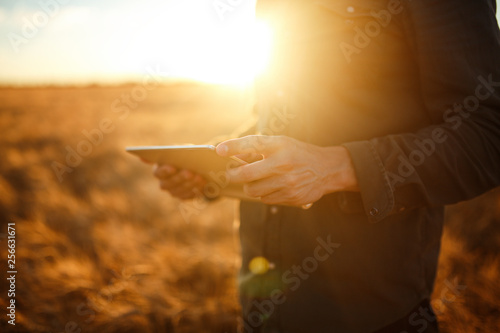 Amazing photo of Farmer. Checking Wheat Field Progress, Holding Tablet Using Internet. Close Up Nature Photo Idea Of A Rich Harvest. Copy Space Of The Setting Sun Rays On Horizon In Rural Meadow.