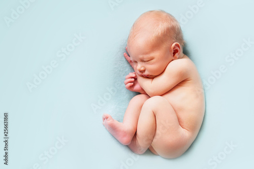 Naked newborn baby boy sleeping on the blue background